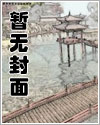 我的将军原版