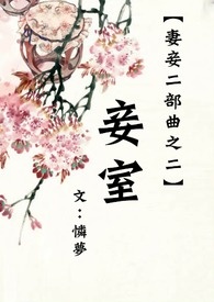 妻妾成群多少字